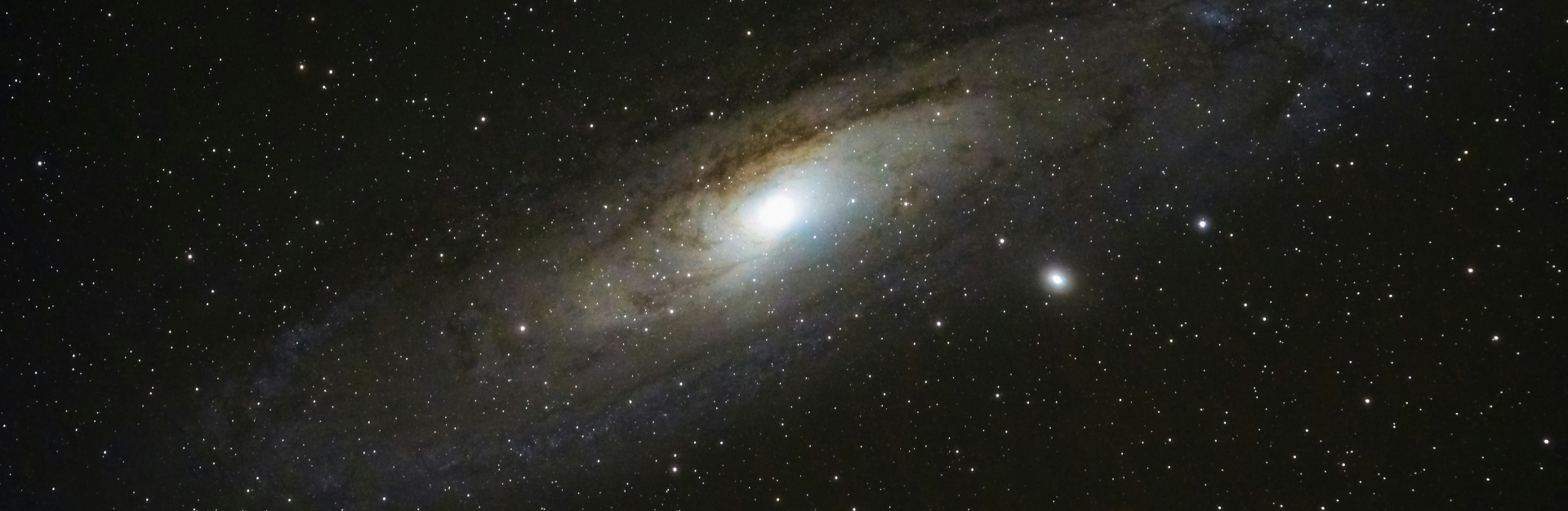 What is Missing ช่วยกันเก็บความทรงจำถึงโลก  ก่อนทุกอย่างจะหายไปกับการสูญพันธุ์ครั้งที่ 6