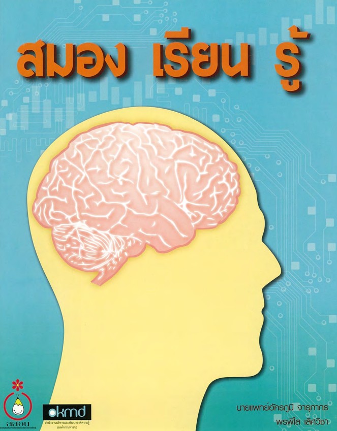 สมอง เรียน รู้