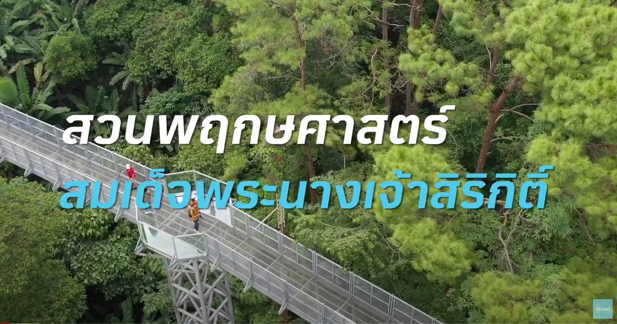 OKMD Guide | สวนพฤกษศาสตร์สมเด็จพระนางเจ้าสิริกิติ์