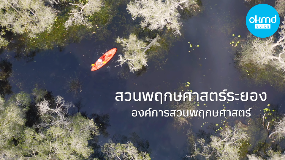 OKMD Guide I สวนพฤกษศาสตร์ระยอง