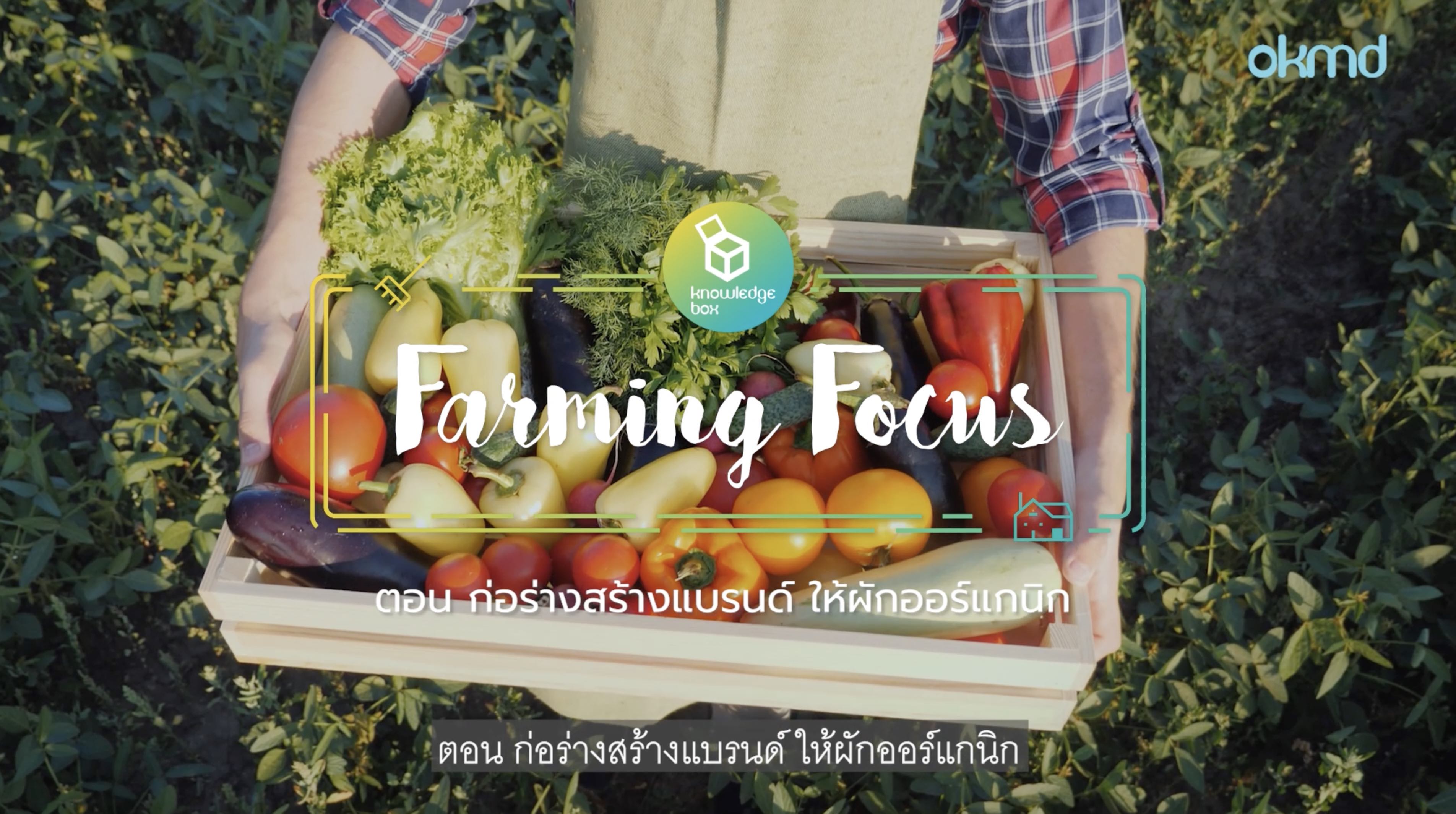 Farming Focus : ก่อร่างสร้างแบรนด์ ให้ผักออแกนิก | EP4
