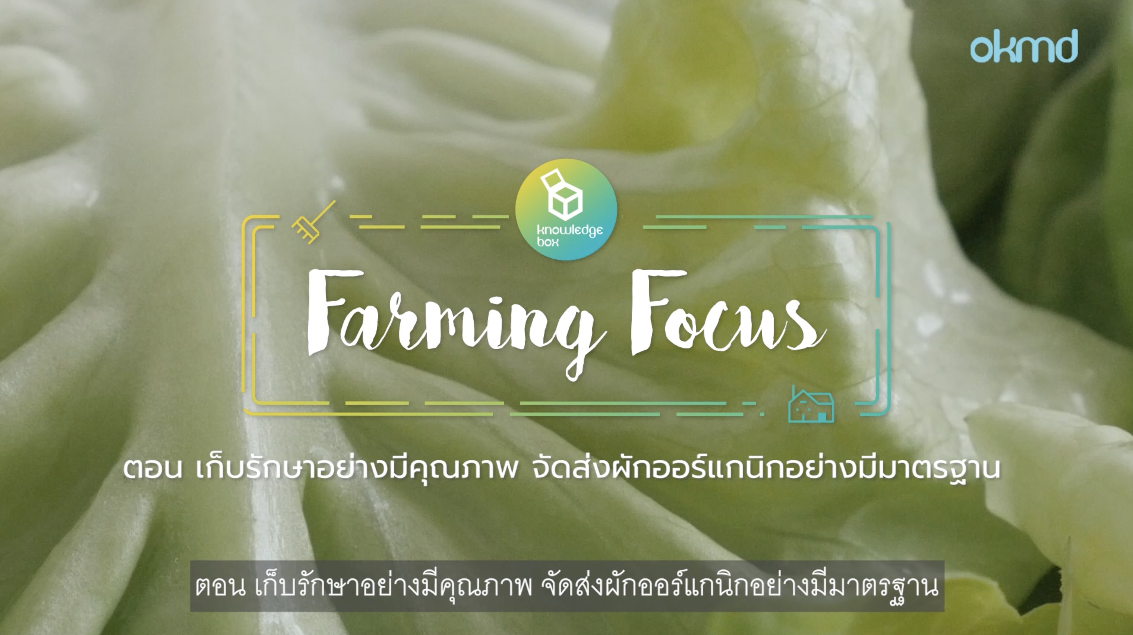 Farming Focus :เก็บรักษาอย่างมีคุณภาพ จัดส่งผักออกแกนิกอย่างมีมาตรฐาน | EP3