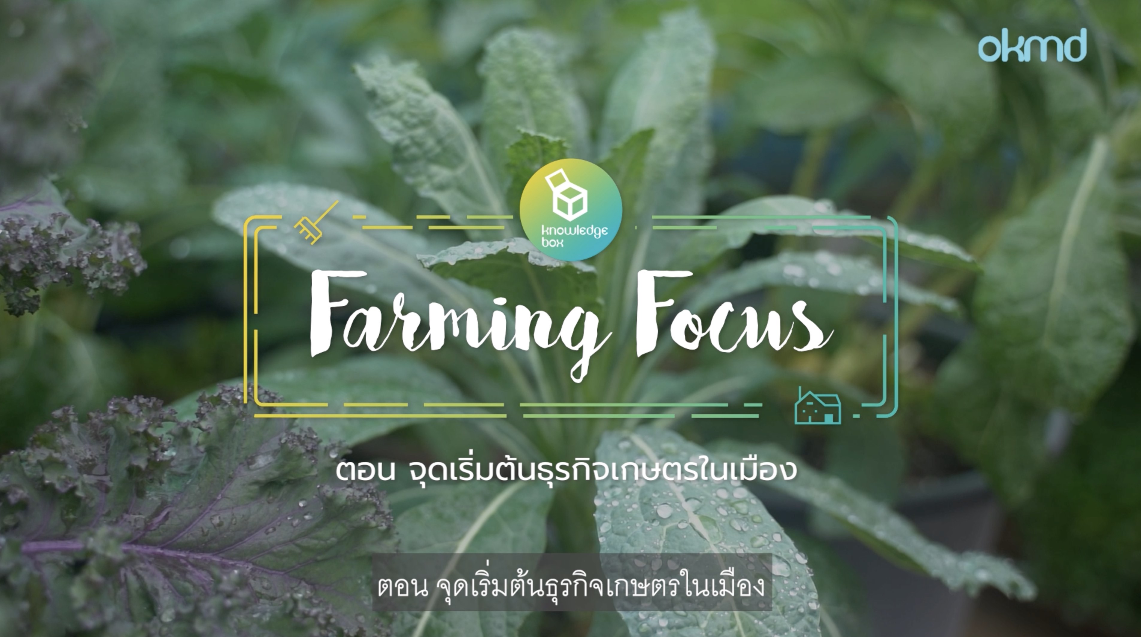 Farming Focus :จุดเริ่มต้นธุรกิจเกษตรในเมือง | EP1